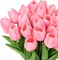 24 Pcs Real Touch Artificial Tulips for All Occasions
